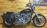 2007 Harley-Davidson Sportster 1200 Low