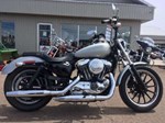 2006 Harley-Davidson Sportster 1200 Custom