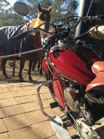 1947 Indian Chief