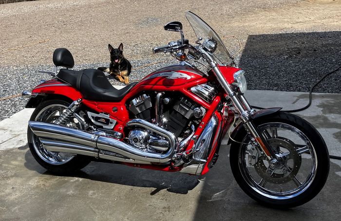 Harley-Davidson Vrscse2 2006 Used Motorcycle for Sale in Rosseau ...